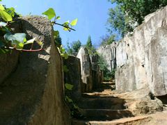 -长虫山生态公园风景林