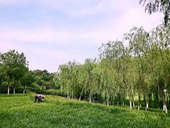-秀水公园