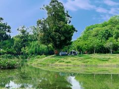 -两河城市森林公园