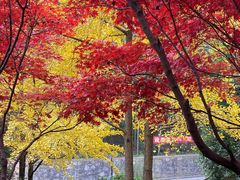 -岳麓山风景名胜区