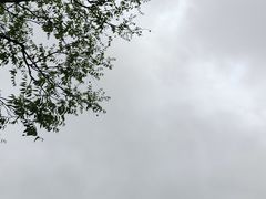-桐乡凤凰湖