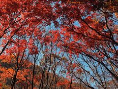 -关门山森林公园