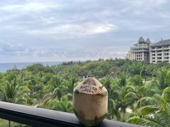 -海南清水湾莱佛士酒店