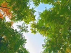 -重庆彩云湖湿地公园