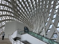 -凤凰中心