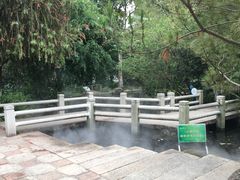 -名树园