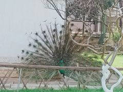 -昆明动物园