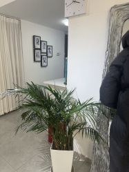 -原生美学·SMP3D纹发·纹野生眉