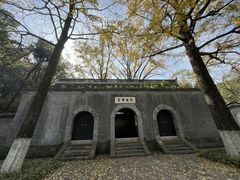 -镇江市南山风景名胜区竹林景区