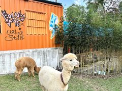 -云栖山谷野奢营地