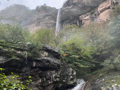 -青峰峡国家森林公园