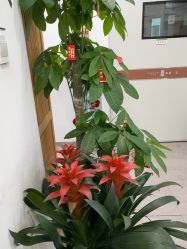 -和颜一美轻医美连锁