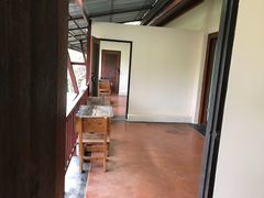 -绿光森林餐厅