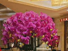 -上海小南国(国发店)