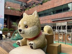 -新城市广场