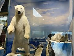 -国家自然博物馆