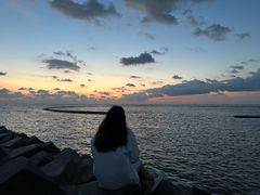 -南汇嘴观海公园