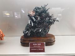 -甘肃地质博物馆