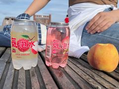 -萍乡武功山风景名胜区