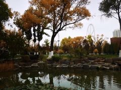 -西宁市人民公园(城西区)
