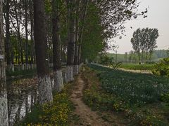 -东郊湿地公园