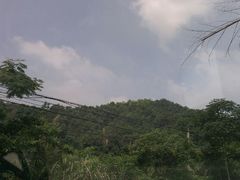 android_upload_pic-宁波浙东大竹海景区