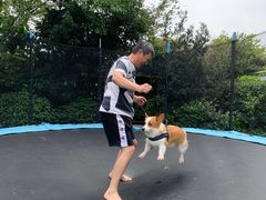 -汪说喵讲宠物乐园宠物酒店(红星美凯龙店)