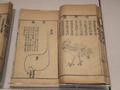 -台北故宫博物院