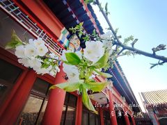 -居庸关长城