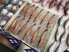 -莆鑫海鲜城(浏河店)