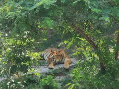 -石家庄市动物园