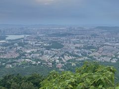 -紫金山山顶公园