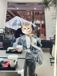 -FINE HAIR 烫染专业设计