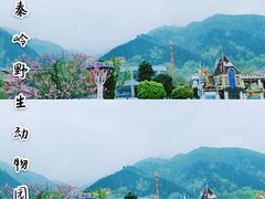 -西安秦岭野生动物园