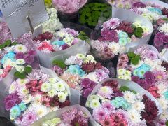 -循礼门鲜花花市(武汉循礼门店)