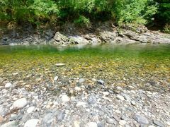 -黑河国家森林公园