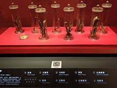 -北京大葆台遗址博物馆