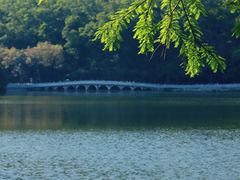 -深圳仙湖植物园