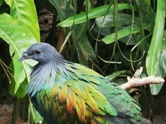 -费瑟代尔野生动物园