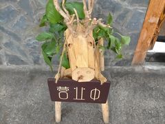 -土著渔匠·养生蝴蝶鱼(香樟路店)