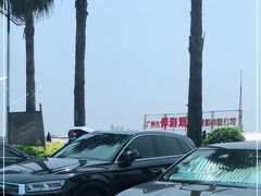 -大湾区中央湿地公园-十九涌
