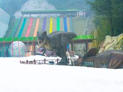 -梦幻奥陶纪景区