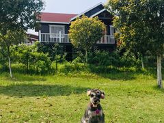 -武汉紫薇都市田园