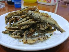 -全乐鱼馆·淳牌有机鱼直营店