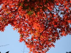 -萍乡武功山风景名胜区