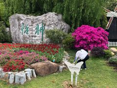 -上海鲜花港