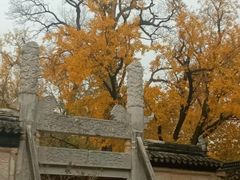 -苏州碑刻博物馆
