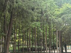 -西安市长乐公园