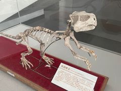 -中国第四纪冰川遗迹陈列馆