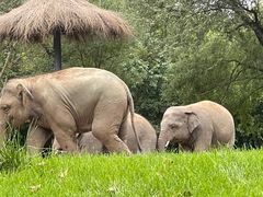 -北京野生动物园